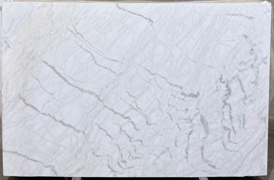 Venatino White