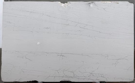 Discovery White